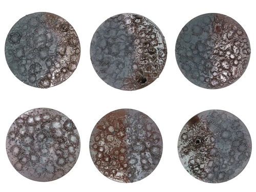 每一次撞击都是新的重启——陈明强的铁精粉艺术探索